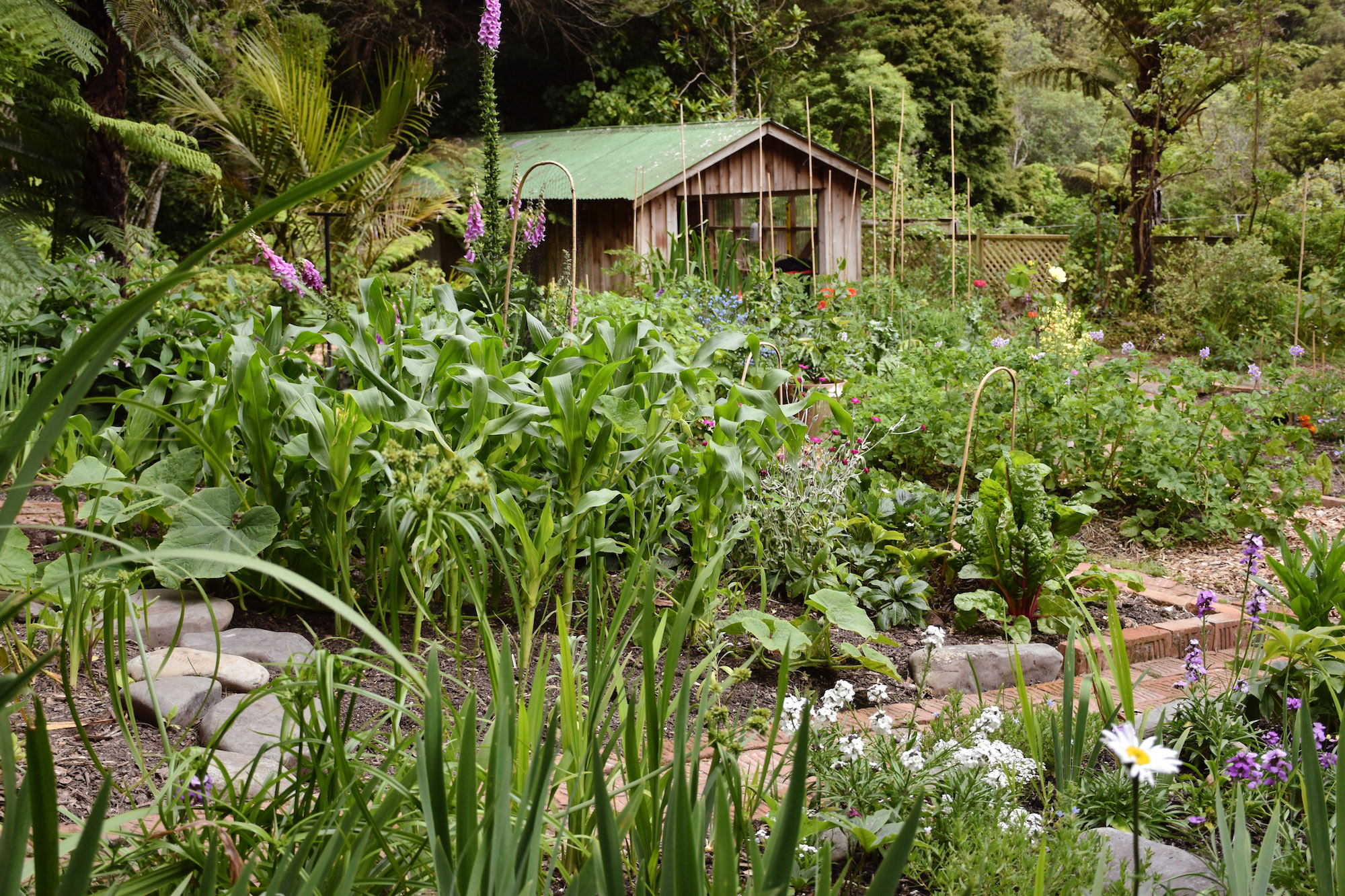 Wellington Garden | Secret Gardens of NZ